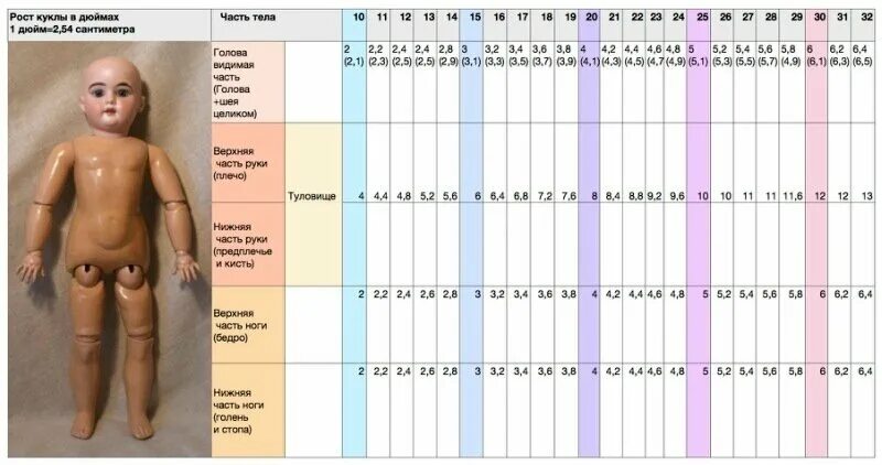 Размеры кукол. Пропорции тела куклы. Тело куклы. Размеры тел антикварных кукол. Тело пупса