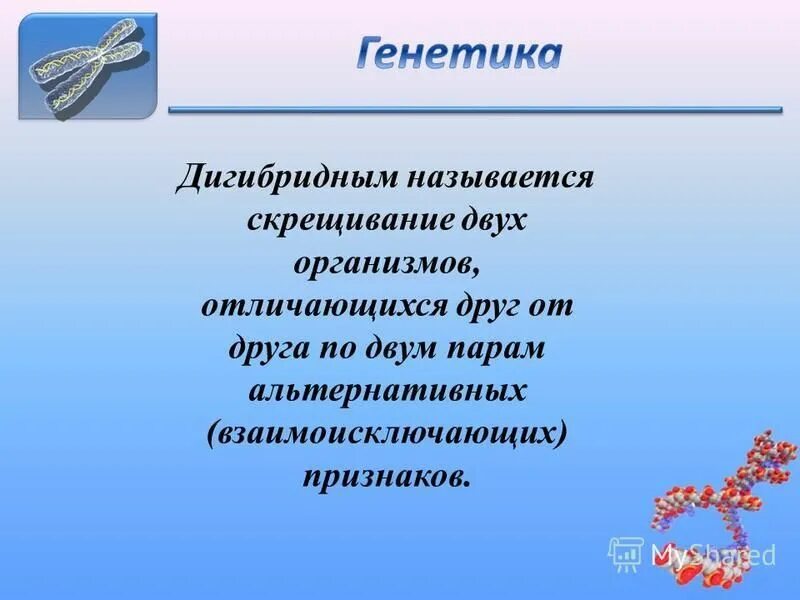 Многогрбридное скрещивание. Моногибридным называется скрещивание. Гибридами называют организмы отличающиеся пары альтернативных признаков. Многогибррдное скрещивание. Дигибридное скрещивание кратко.