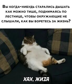 Смочь тихо