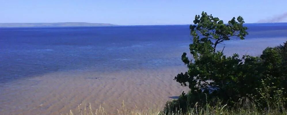 Софьино самарская область приволжский. Софьино самарская область приволжский. Софьино, ул. Давыдовка самарская область приволжский район. Село софьино самарская область.