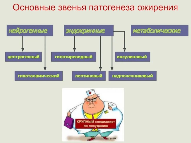 Генез ожирения. Патогенез ожирения схема. Патогенез первичного ожирения. Механизм развития ожирения. Ожирение патофизиология.