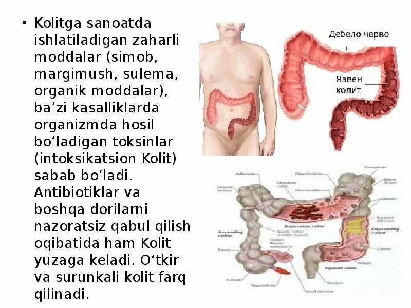 Калит значение