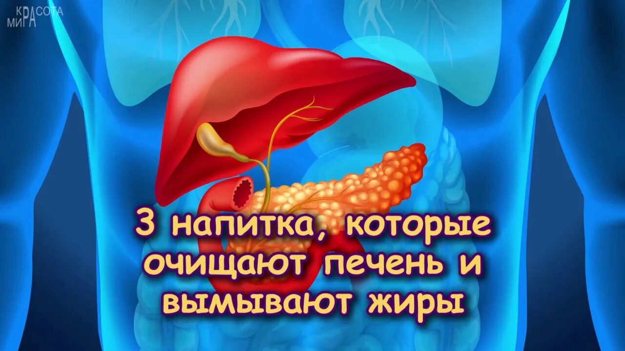 Печень в организме в жире. Очищение печени от жира. 3 Напитка, которые очищают печень и вымывают жиры. Очистить печень от жира. Как чистить печень.