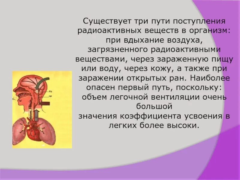 Искусственная радиоактивность. Когда появились первые в мире радиоактивные вещества. Когда появились первые в мире радиоактивные вещества. Что относится к радиоактивным веществам. Пути поступления загрязняющих веществ в организм человека 3 класс.