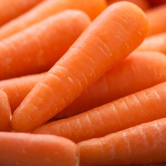 Купить морковь оптом. Морковь. Китайская морковь. Натуральная морковь. Морковь свежая.