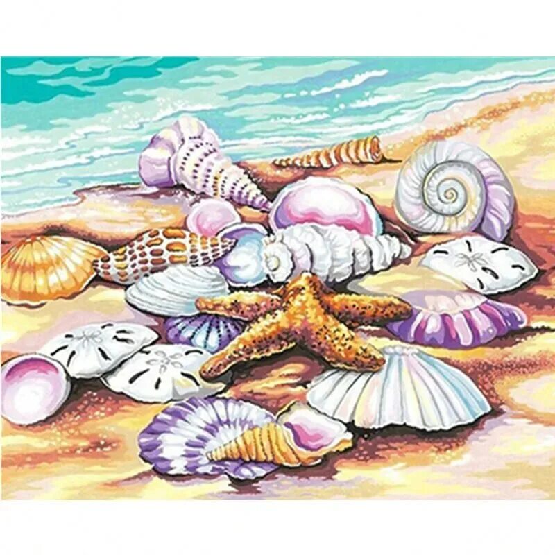 Морские рисунки. Dimensions ракушки. Ракушки в живописи. Морские иллюстрации. Иллюстрации на морскую тему.