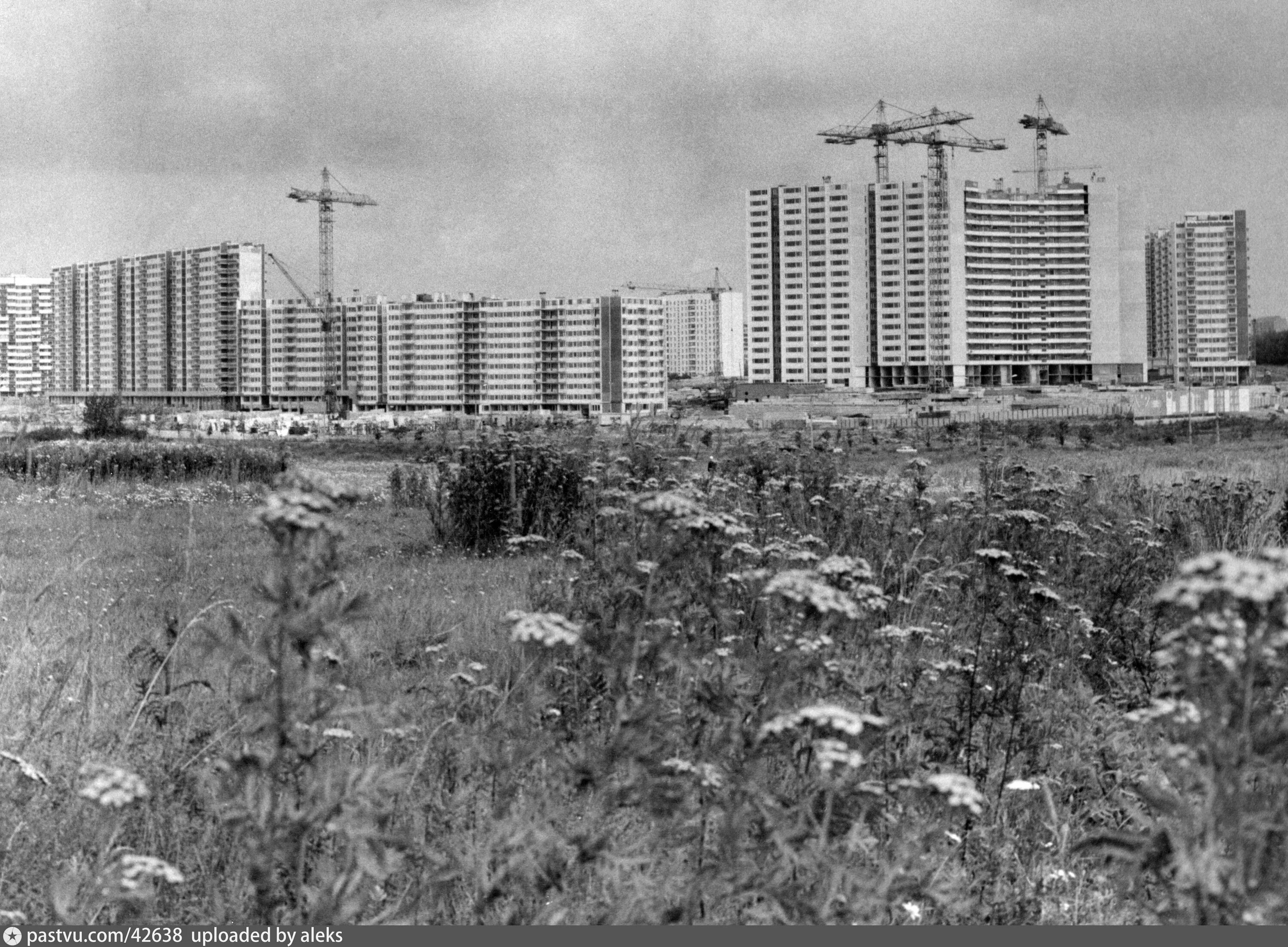 Деревня тропарево никулино. Деревня тропарево никулино. Тропарево никулино москва. Деревня тропарево никулино. Деревня тропарево никулино.