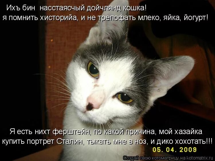 Ферштейн мем. Фернштейн на немецком перевод. Ферштейн. Нихт ферштейн нихт. Ферштейн на немецком.