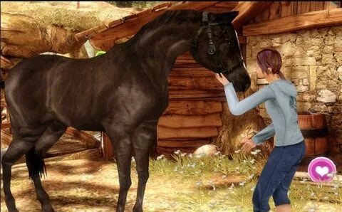 Lara with horse x ray