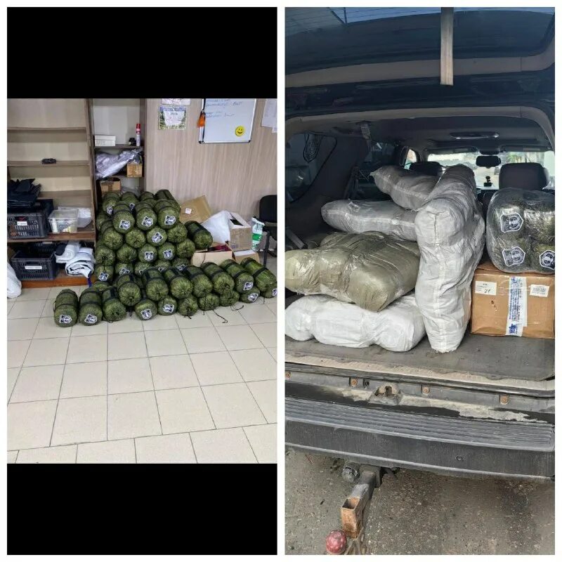 позывной алабай телеграм