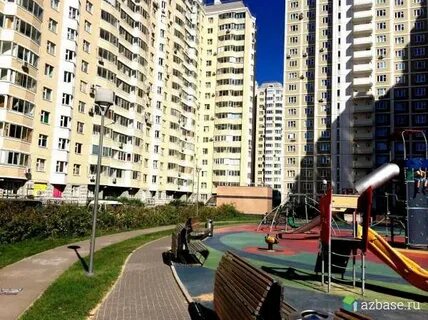 Кашенкин луг цветы