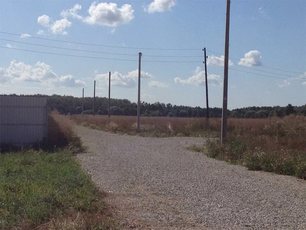 пахотные поля белоруссия. участок под рынок. участок под рынок.