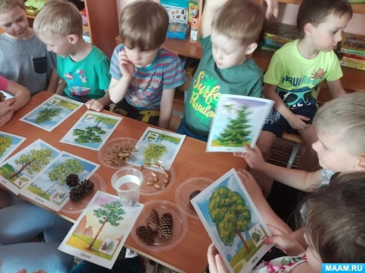 Экология в первой младшей. Занятие по экологии в детском саду. Экологическое занятие в старшей группе. Экологические занятия в ДОУ. Занятие по экологии в старшей группе.