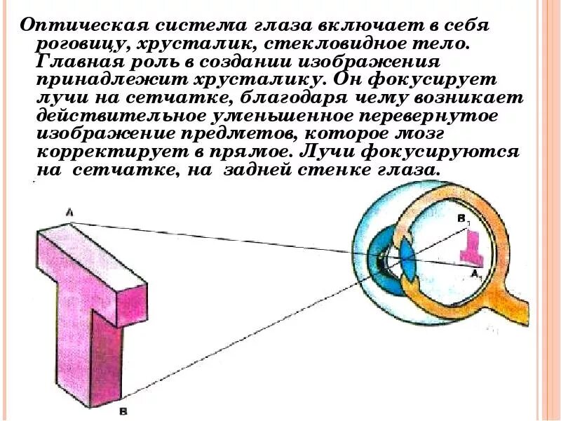 Воздух через глаз. Оптическая система глаза включает. Оптическая система глаза состоит из. Оптическая система глаза состоит из хрусталика стекловидного тела. Оптическая система глаза её роль..