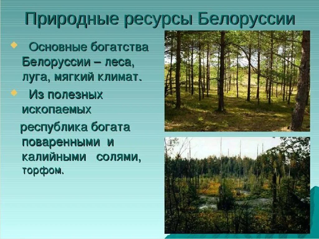 Интересные факты про белоруссию. Беларусь презентация. Белоруссия презентация 3 класс. Сообщение про Беларусь. Проект на тему Беларусь.