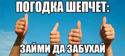 Займи но выпей откуда