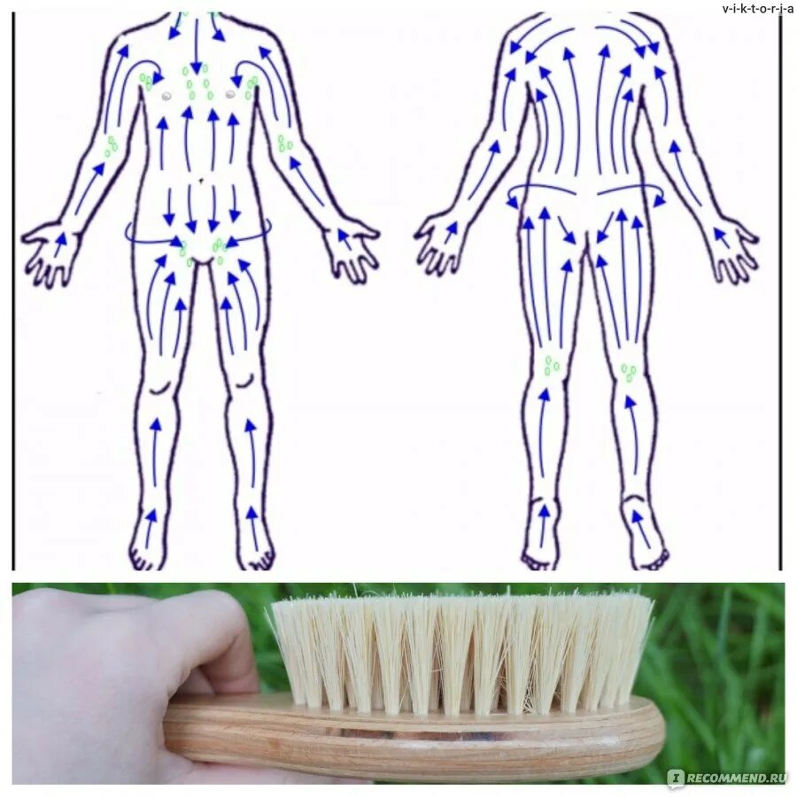 Массажные линии для вакуумного массажа. Дарсонваль массажные линии на теле. Щётка для сухого массажа. Лимфодренажный массаж сухой щеткой. Массажные линии щеткой.