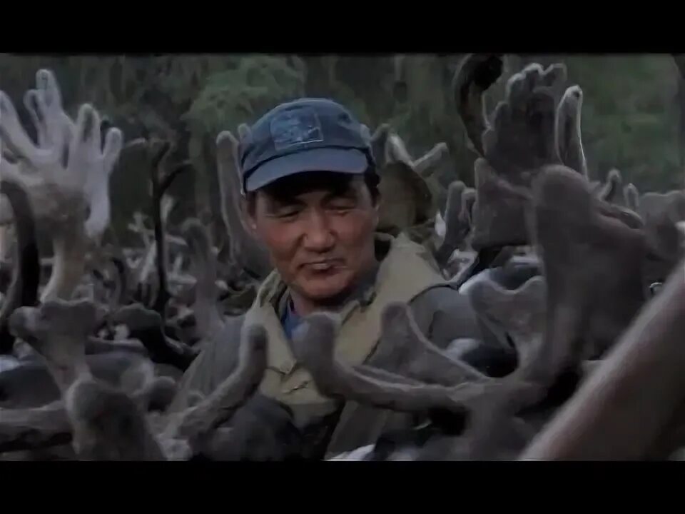 Северный ветер бывает тёплым фильм 2019. Фильм северный. Северный ветер бывает теплым. Северный ветер бывает тёплым фильм 2019 отзывы. Северный ветер бывает теплым.