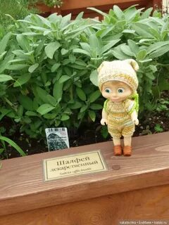 Огород хожу