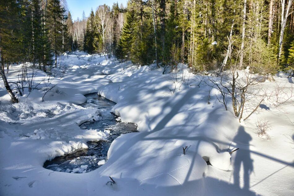 Речка подо льдом. Речка подо льдом. Река зимой. Карелия ладожское озеро зима. Зимняя река подо льдом.
