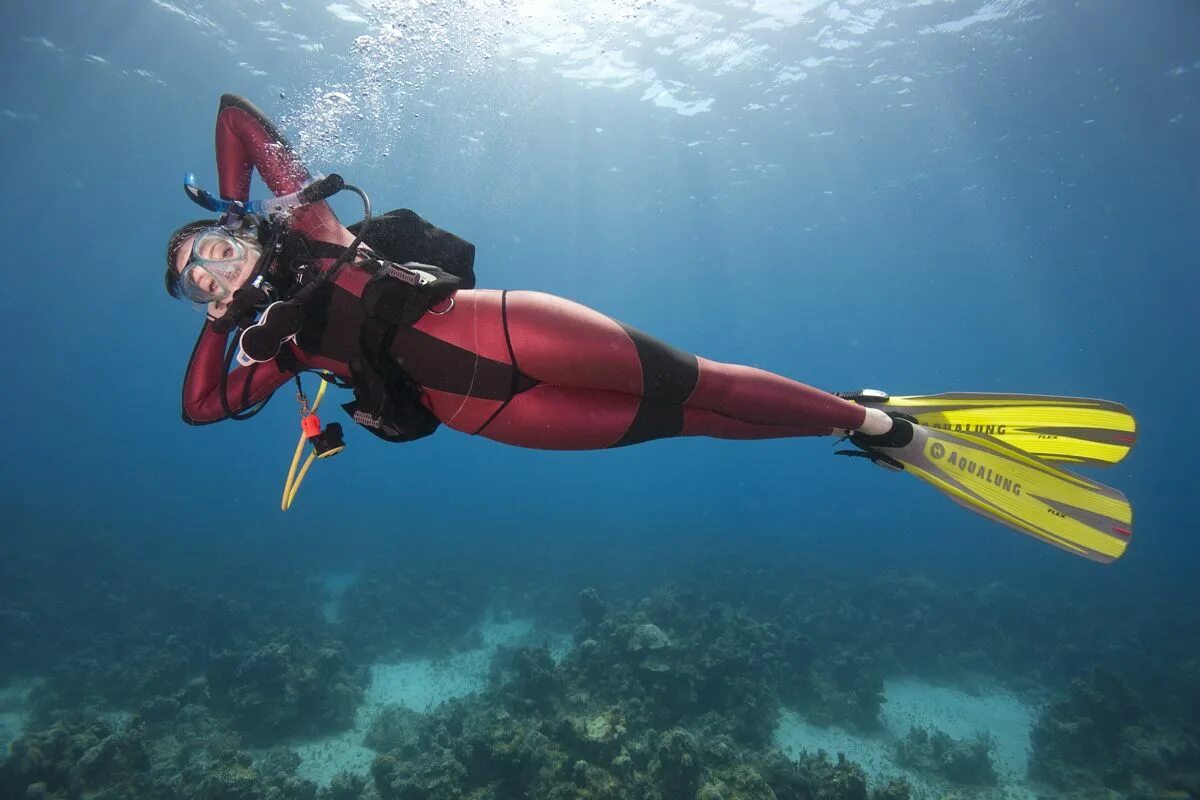 Акваланг снаряжение Скуба. Дайверша Барбара. Скуба дайвинг. Дайвинг Scuba. Лов дайв