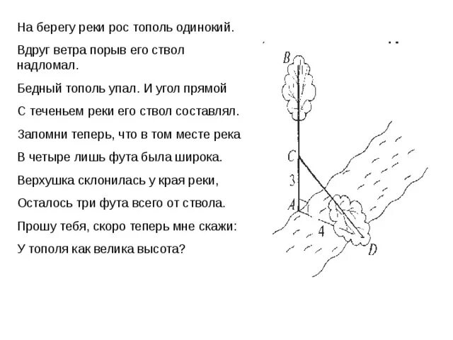 Слова песни тополя. Тополя тополя тополя текст песни. Тополя тополя текст песни текст. На берегу реки рос Тополь одинокий. Тополя тополя все в пуху текст