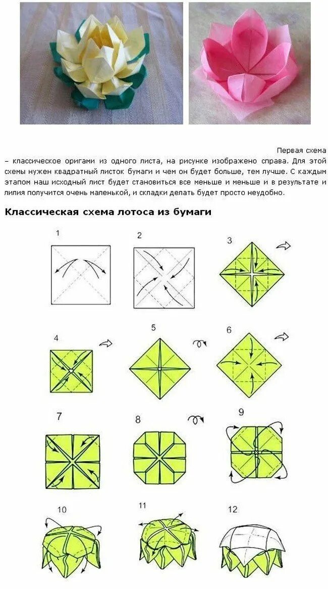 Инструкция как сделать из бумаги. Оригами из бумаги схемы пошагово цветы. Оригами из бумаги для начинающих цветы простые схемы. Цветы оригами из бумаги своими руками схемы поэтапно легко. Оригами Лотос схема с описанием.