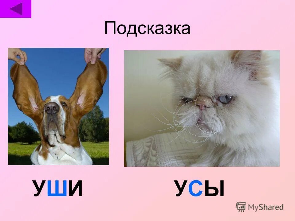 Слуховая дифференциация