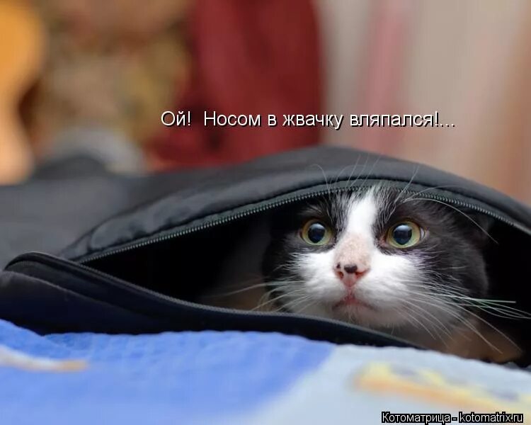 Ну теперь то. Ну теперь то. Кузьмич особенности национальной рыбалки. Коварный злодей мем. Ну накоонецто дождались.