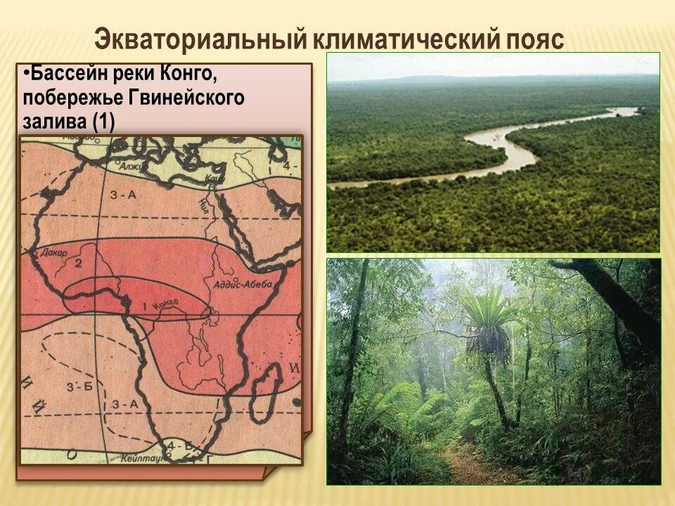 Экваториальный климатический пояс. Климат экваториального пояса. Климат экваториального климата. Экваториальный климатический пояс. Климат экваториального пояса.