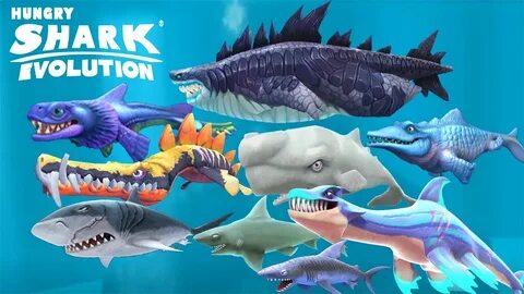 Hungry shark evolution денег