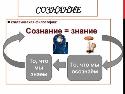 Знание и сознание
