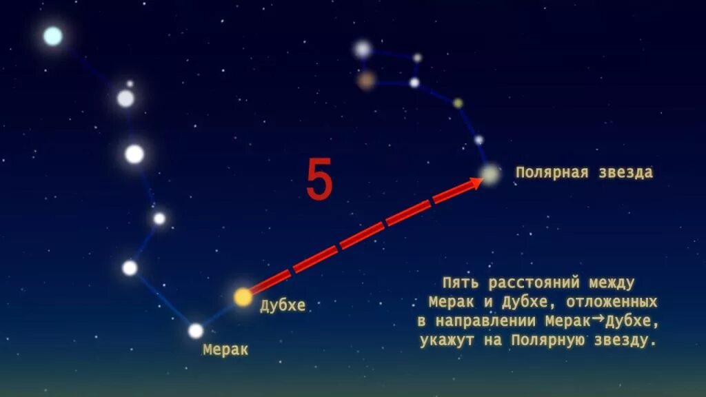 Где находится полярная звезда на небе. Полярная звезда от ковша большой медведицы. где находится северная звезда на звездном небе. малая медведица альфа звезда. полярная звезда на небе.