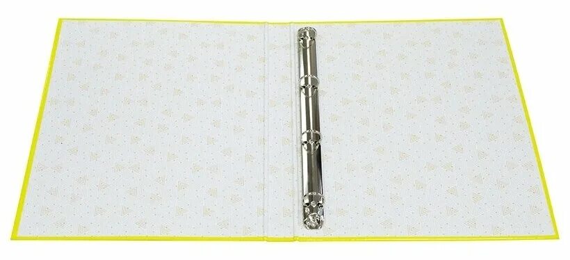 папка портфолио на 4 кольцах. а4. папка портфолио школьника. папка портфолио на 4 кольцах. зеленая папка на кольцах.