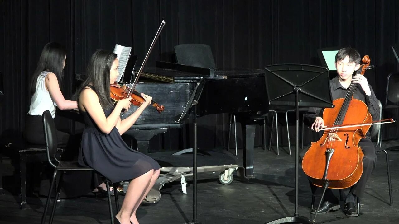 Трио виолончель