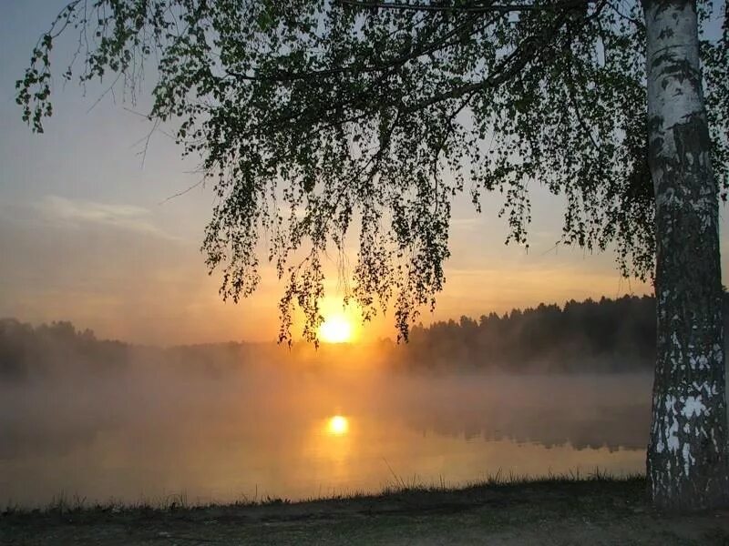 Утренняя Заря. Рассвет березы. Ранняя Заря. Что такое зори в природе. Благодать рекою