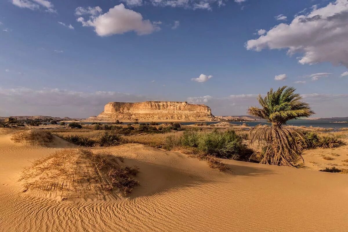 Siwa Оазис в Египте. Сива Египет. Египет Пески пирамиды Оазис. Сахара Оазис Египет.