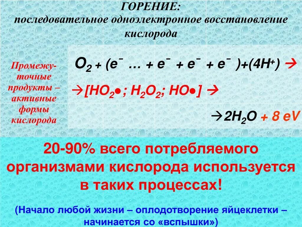 Реакция восстановления кислорода. Активные формы кислорода. Активные формы кислорода биохимия. Одноэлектронное восстановление кислорода.