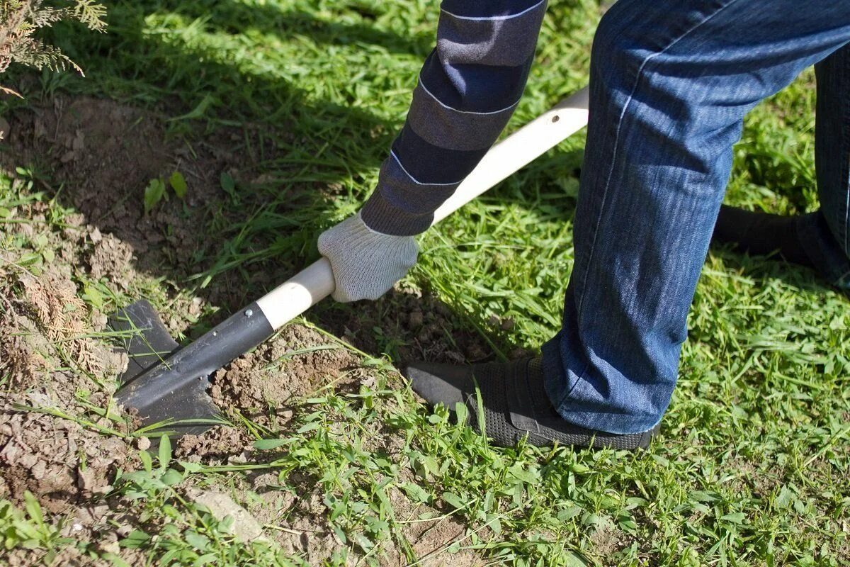 Spring works