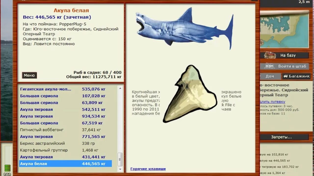 Акула русская рыбалка. Квест зубы акул рр3. Квест акулы в рр 3.99. Зубы акул русская рыбалка 3.99. Квест зубы акулы русская рыбалка 3.99.