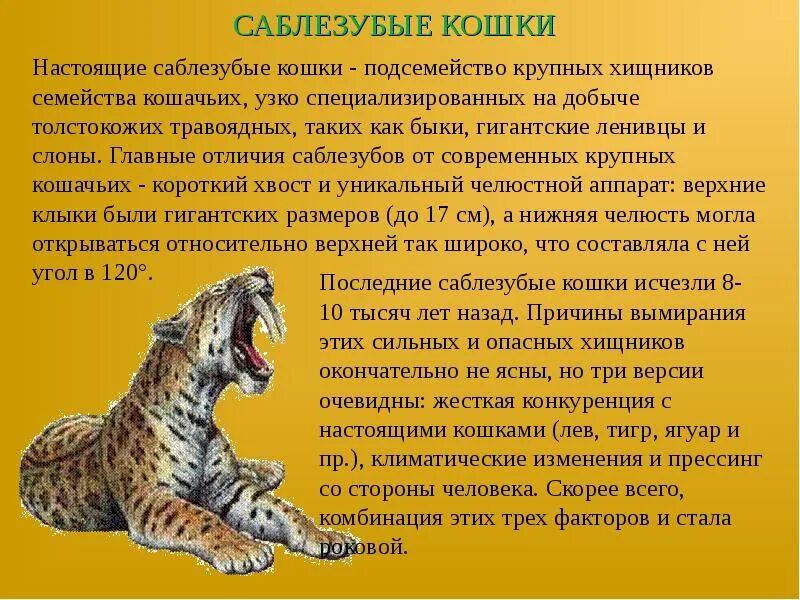 Сообщение о древнем животном. Древние хищные животные земли. сообщение о древних животных. сообщение на тему древние животные земли хищники.