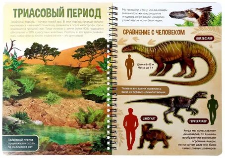 Эра страница