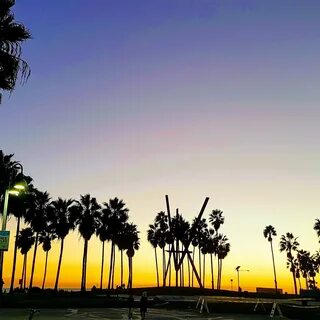 Venice beach