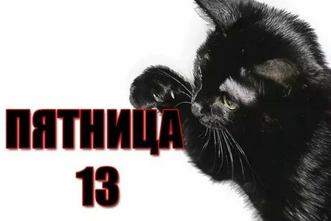 Смешные картинки 13