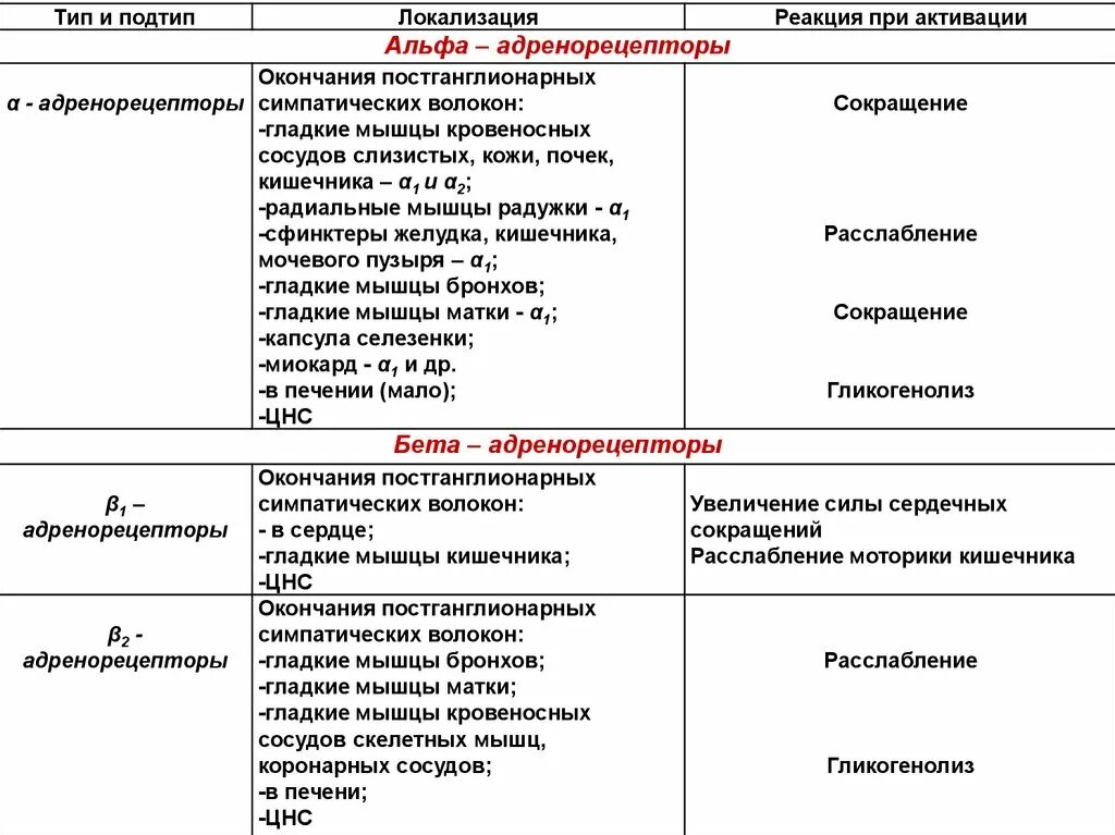 B2 адренорецепторы. Бета 1 и 2 адренорецепторы. альфа и бета адренорецепторы локализация. норадреналин и альфа 2 адренорецепторы. бета 2 адренорецепторы матки.
