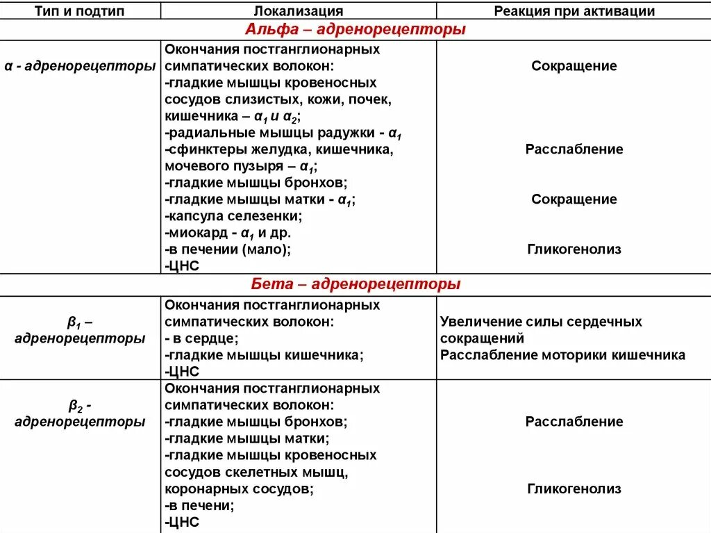 Альфа и бета адренорецепторы. Бета 2 адренорецепторы матки. Альфа 1 рецепторы локализация. Бета1 адренорецепторы сопряжены. Локализация бета адренорецепторов.