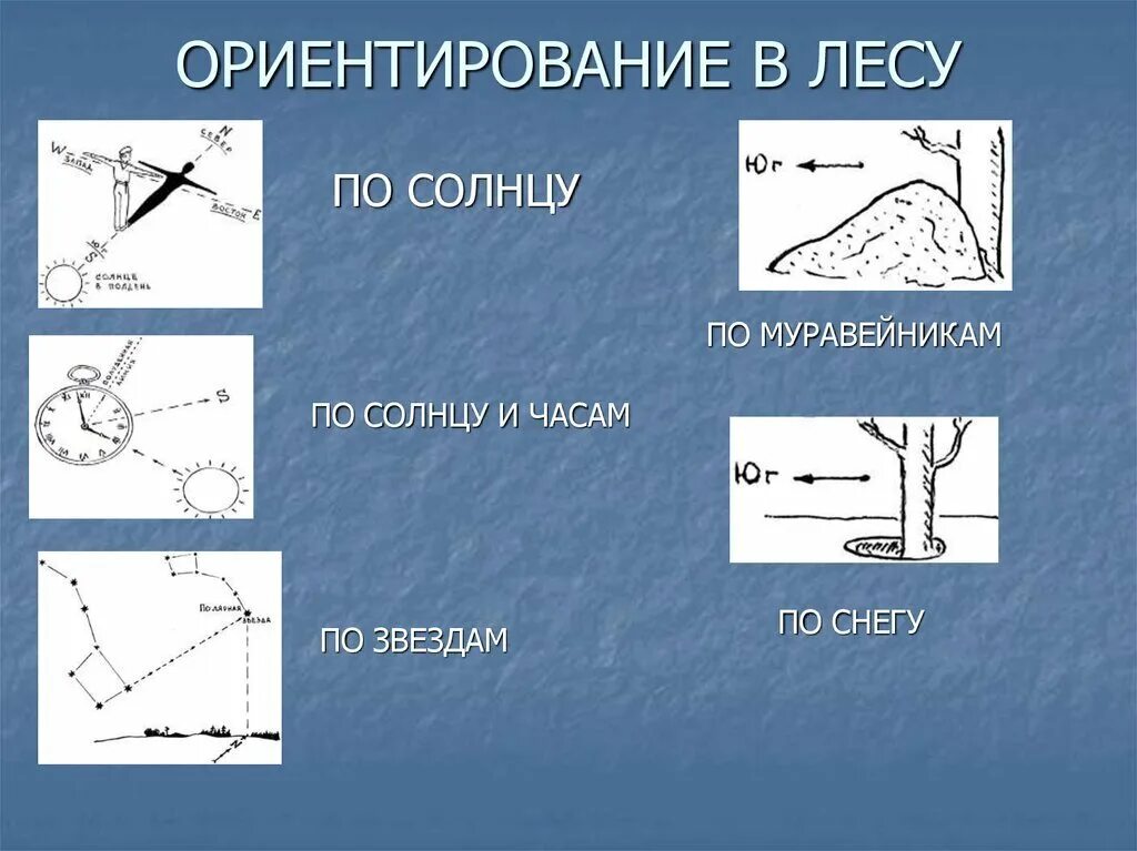 Ориентир сеть. Ориентирование в лесу. способы ориентирования в лесу. приемы ориентирования на местности. как ориентироваться в лесу.