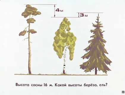 Наибольшая высота сосны