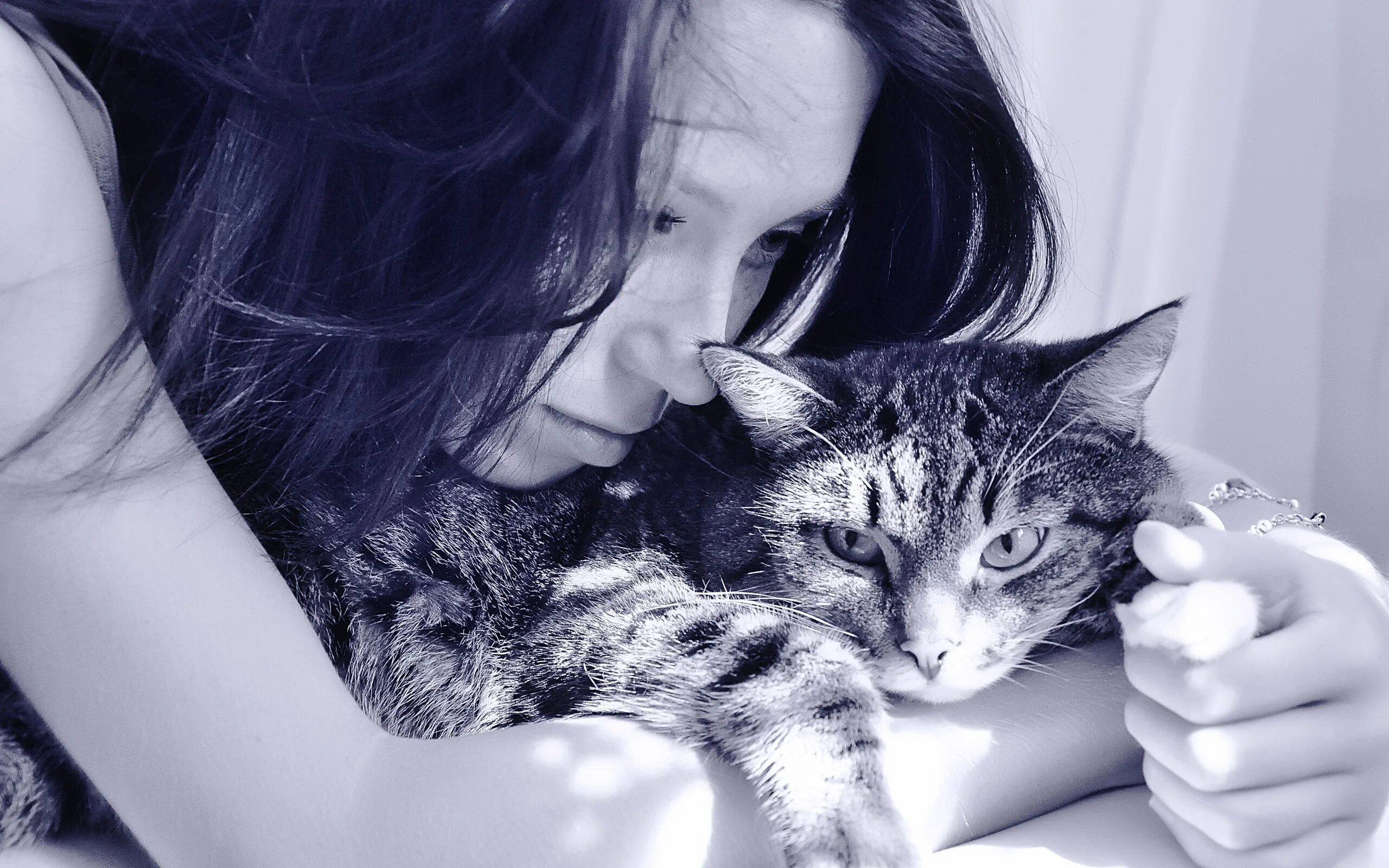 Кот и дева. Девушка кошка. девушка кошечка. девушка с котиком. красивая девушка с кошкой.