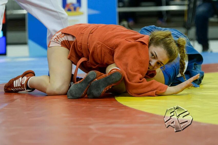 Самбо студенты. Чемпионка красноярского края по самбо. Самбо студенты. Тульские самбисты студенты. Академия борьбы миндиашвили красноярск комнаты.